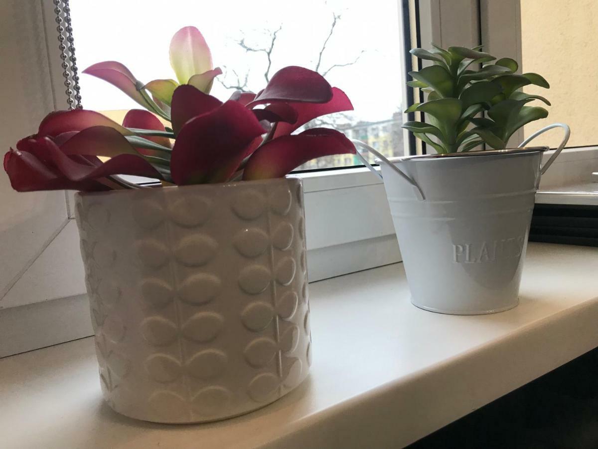 גריפינו Apartament Odrzanka מראה חיצוני תמונה